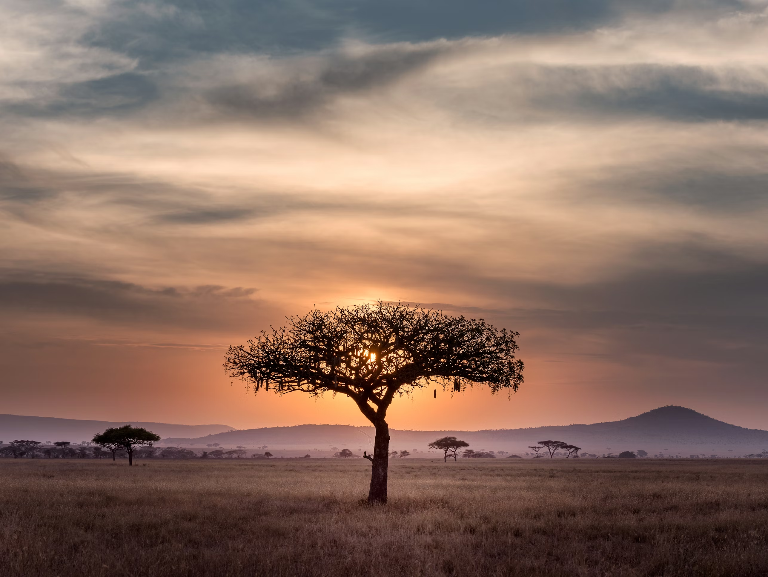 African heritage landscape